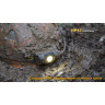 Налобный фонарь FENIX HP12 CREE XM-L2
